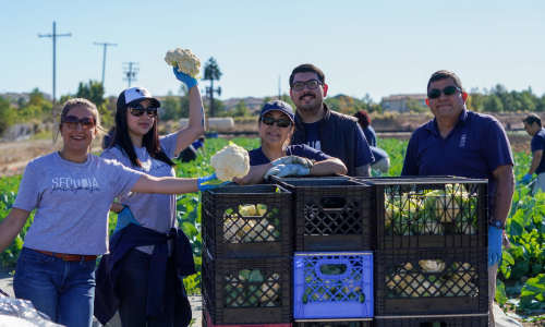 The Sequoia team at a giving back to the community event 