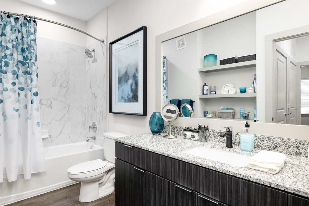 Apartment bathroom with granite counter tops at SoBA Apartments in Jacksonville, Florida