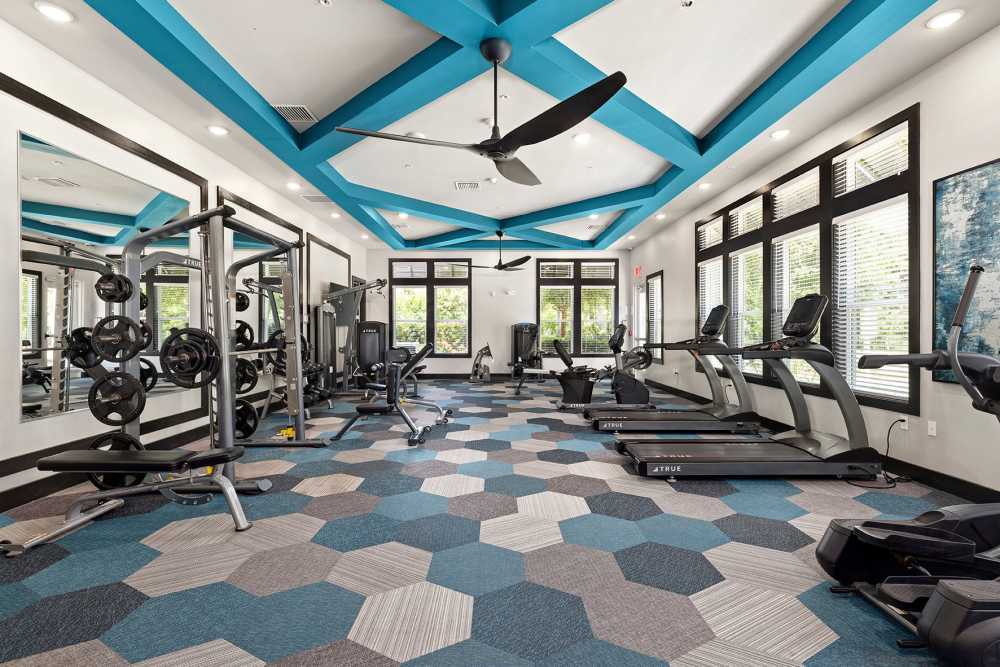 Community gym with cardio and weight machines at Vue on Lake Monroe in Sanford, Florida