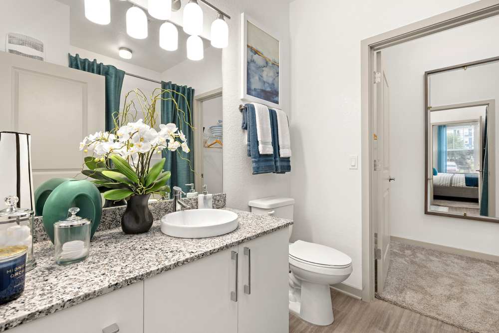 Apartment bathroom with large mirror, sink, and toilet at Vue on Lake Monroe in Sanford, Florida