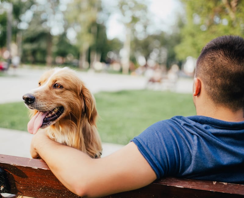 Modern Apartment Dog Weight Restrictions for Living room