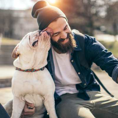 Link to pet policy of Bellevue Ridge Apartments in Bellevue, Washington
