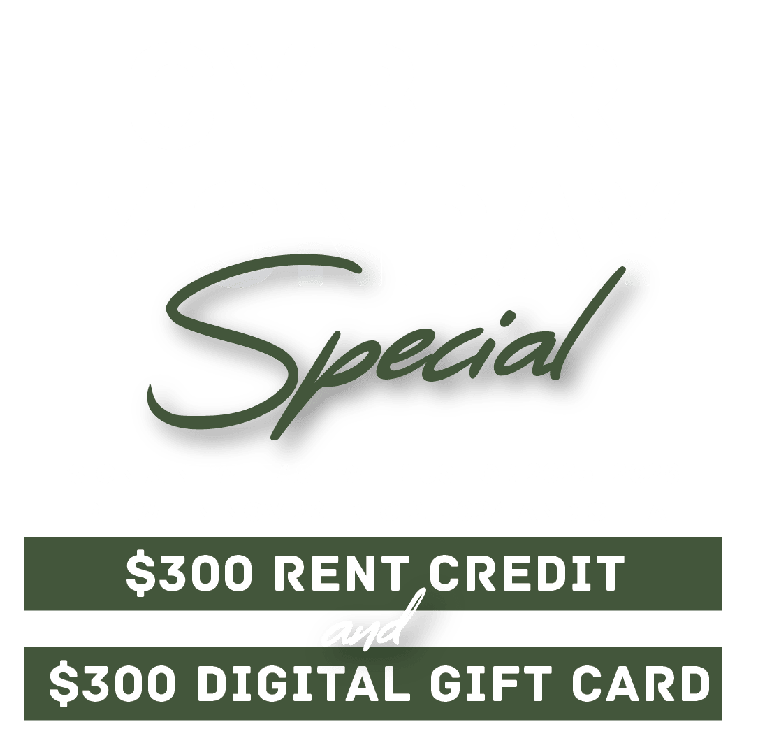 Cyber Monday Special