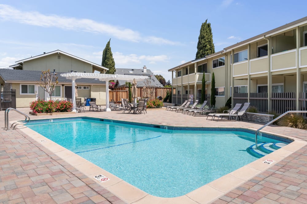 Chaise lounge chairs by the pool at Fremont Arms Apartment Homes in Fremont, California